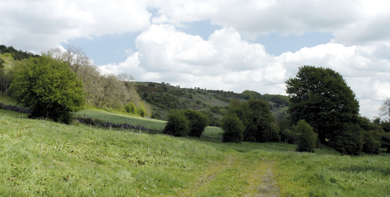 Longstone Edge